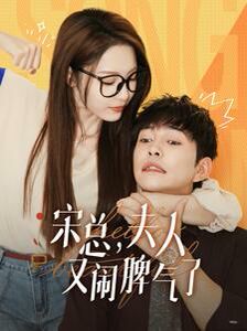 宋總，夫人又鬧脾氣了(全集)