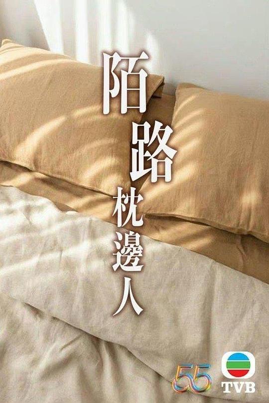再見枕邊人粵語(yǔ)(全集)